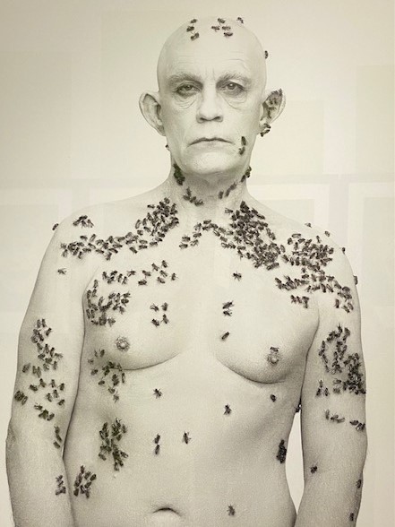 Richard Avedon, apicoltore, 1981