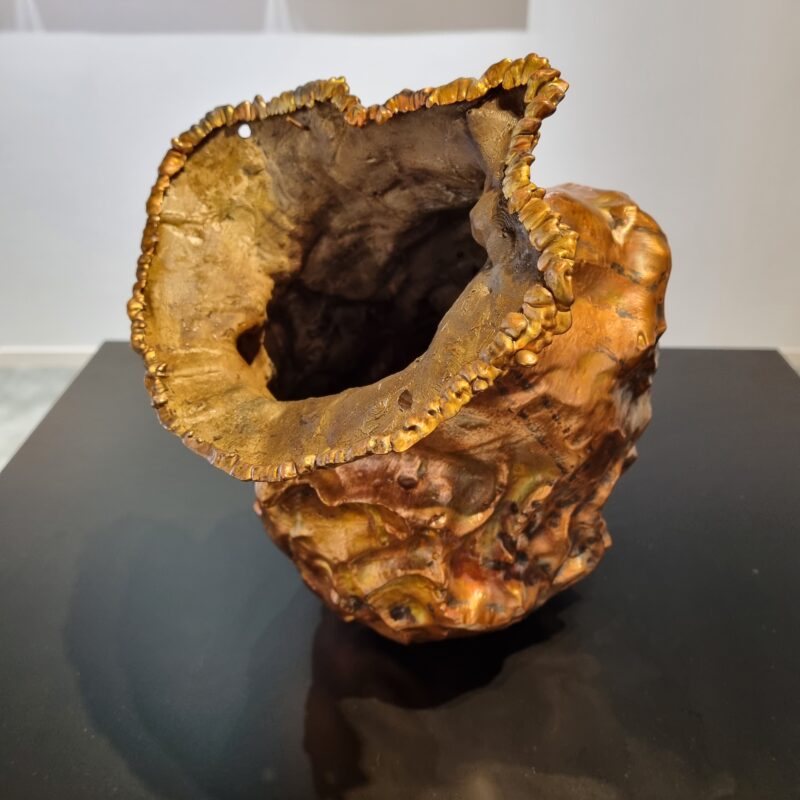 Nuovo positivo, Namsal Siedlecki © courtesy of IIC Seoul