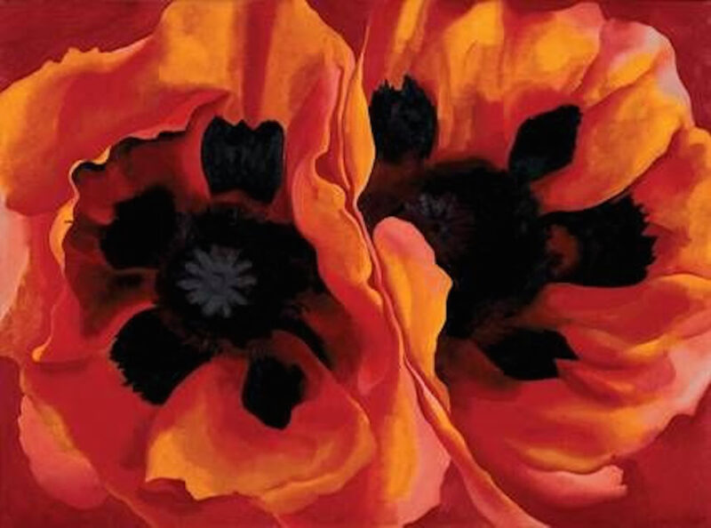 Uno dei celebri fiori di Georgia O'Keeffe