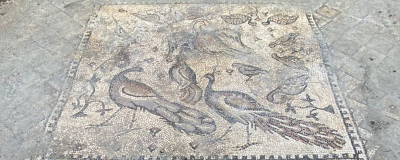 Mosaico trovato nella chiesa scoperta in Turchia (foto dailysabah.com)