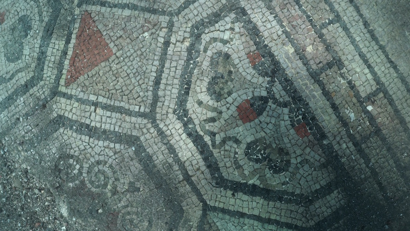 Mosaico policromo dettaglio