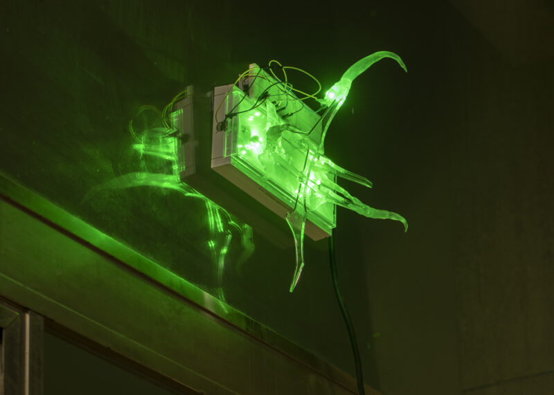 Lorenzo Lunghi, The anxiety parasites, 2021. detail at AN/CONTEMPORANEA, Ancona, Italy Ph Matteo Natalucci