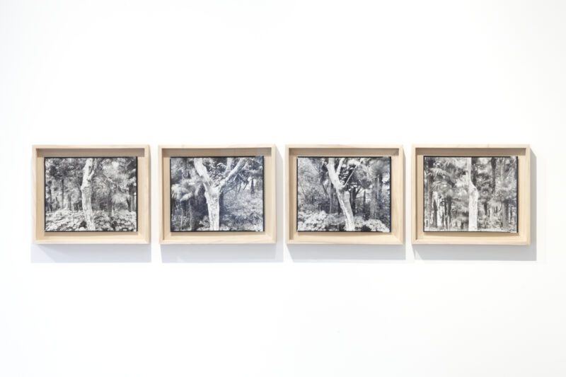 Fuxing Park Pillars, Déplacement, 2017-2019_stampe alla gelatina d'argento da negativo 20x25 cm_Courtesy BUILDING