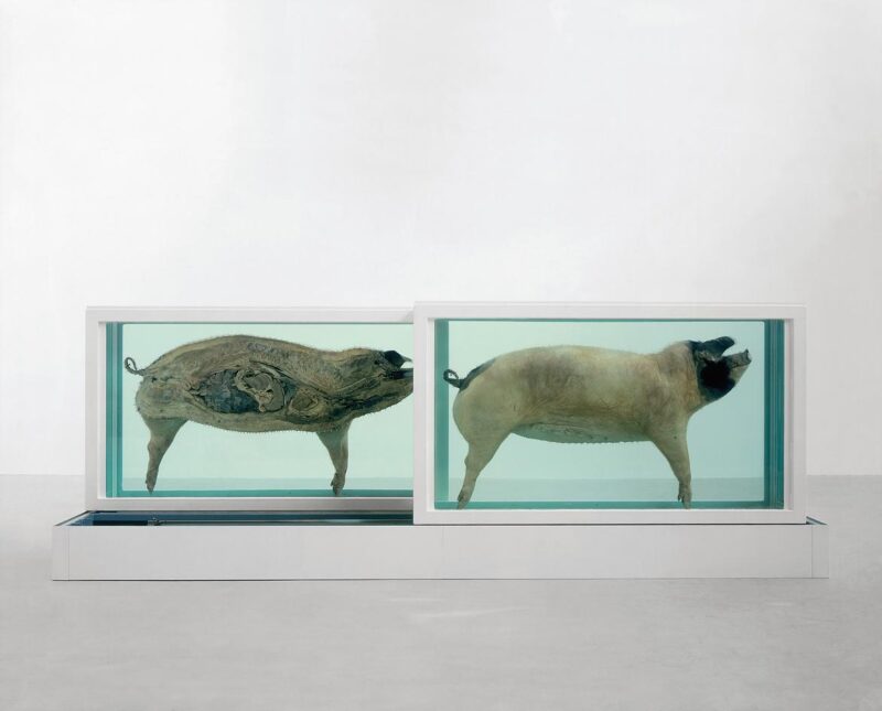 Damien Hirst: ’Natural History’, installation view, 2022