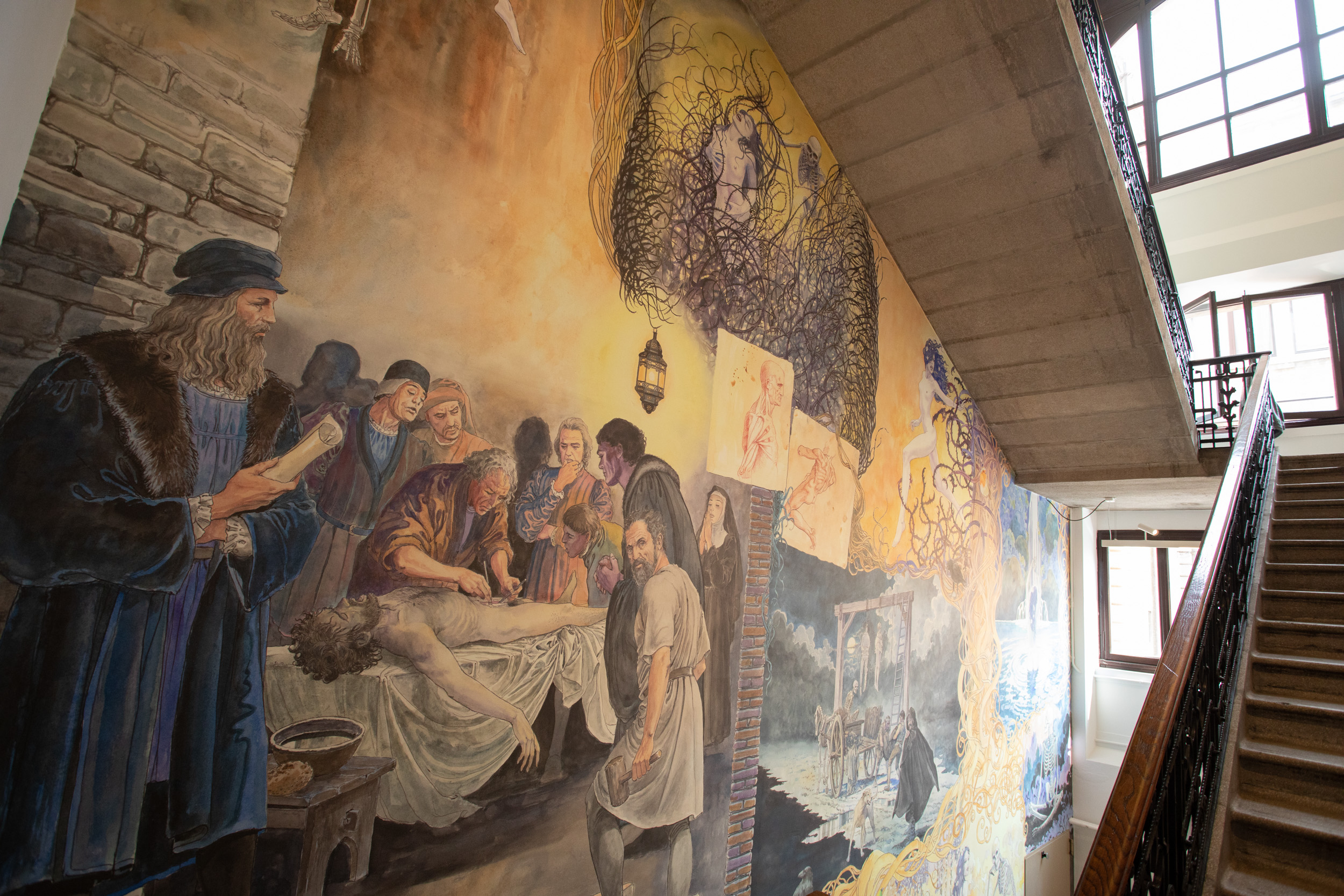 Un murale di Milo Manara per il centenario dell’Istituto di Anatomia di Padova