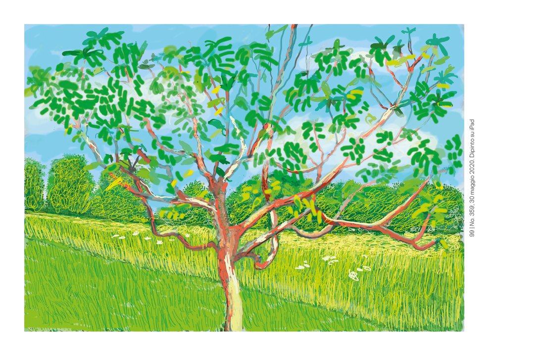 David Hockney libro primavera