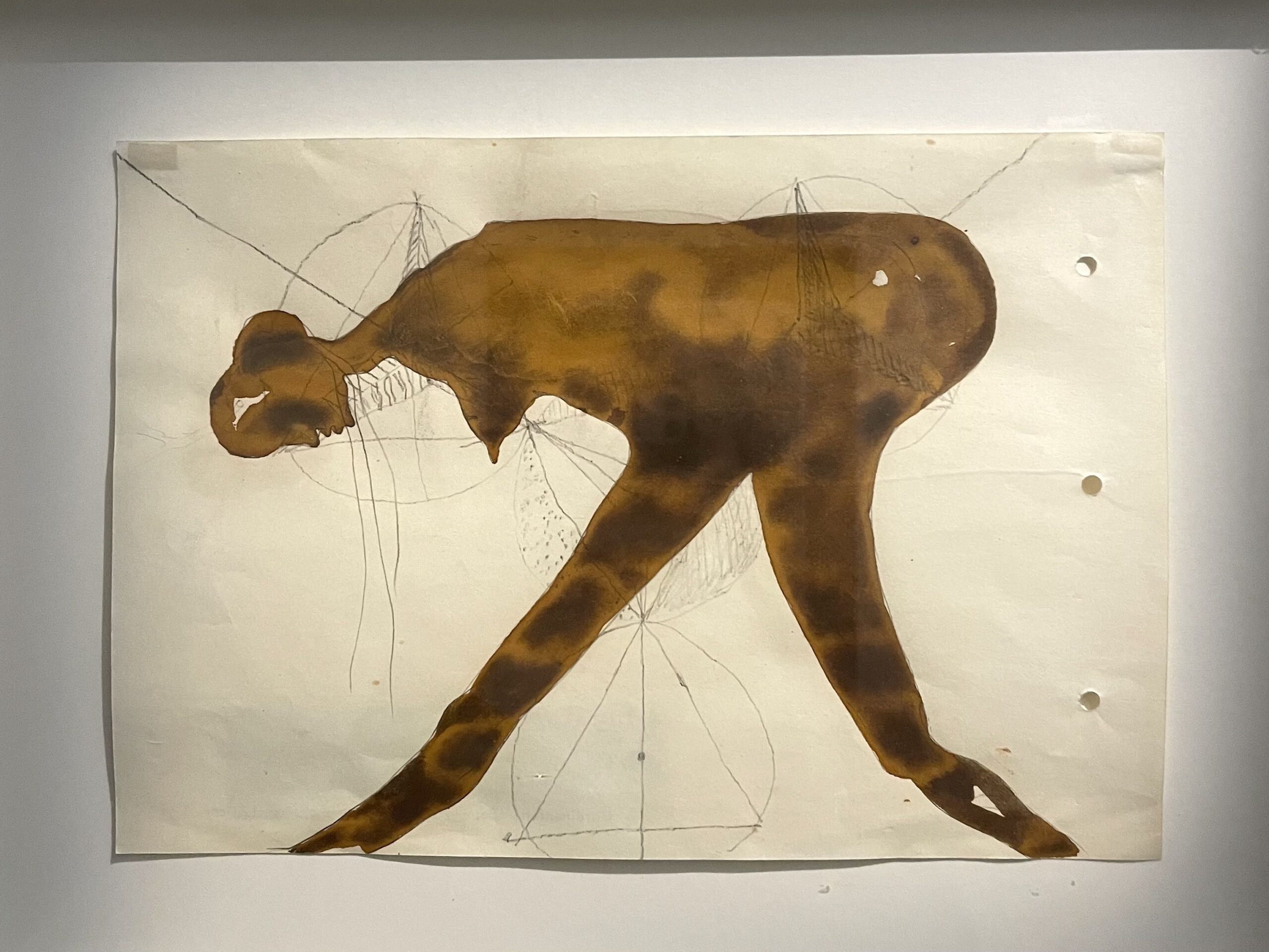 L’importanza del disegno per il grande Joseph Beuys, la mostra di Palazzo Cini