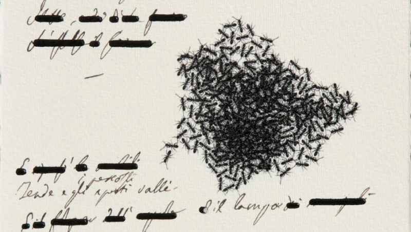 Emilio Isgrò, “Cinque Maggio. Minuta cancellata”, particolare