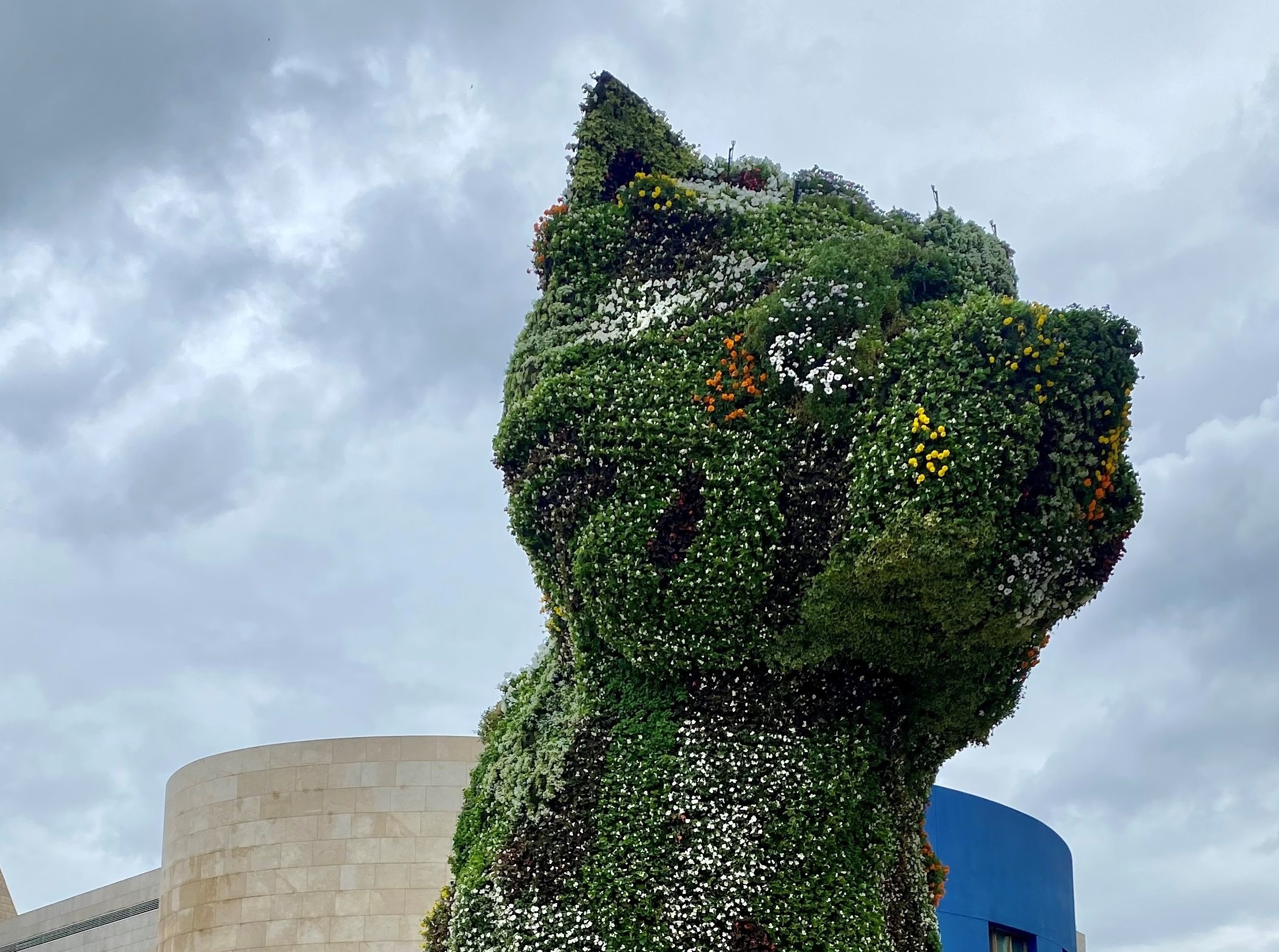 Guggenheim Bilbao. Puppy cambia colore: nuovo look per il cucciolo gigante di Jeff Koons