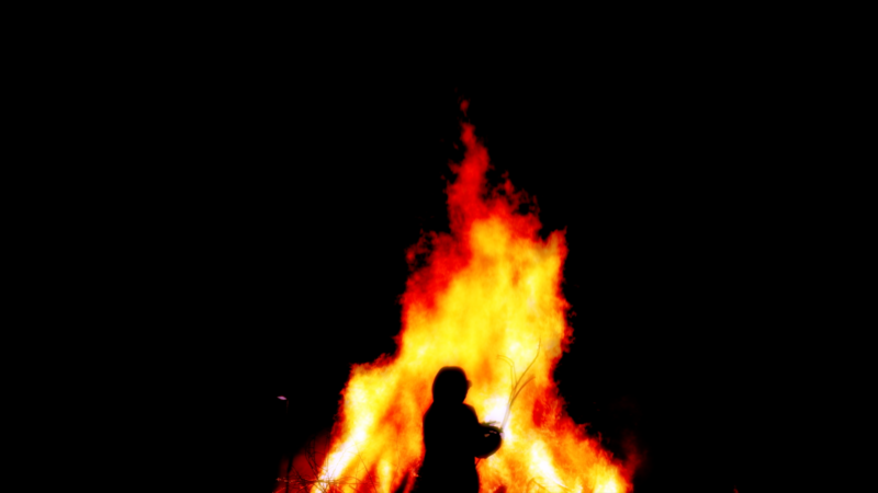 Yuval Avital, Firedance