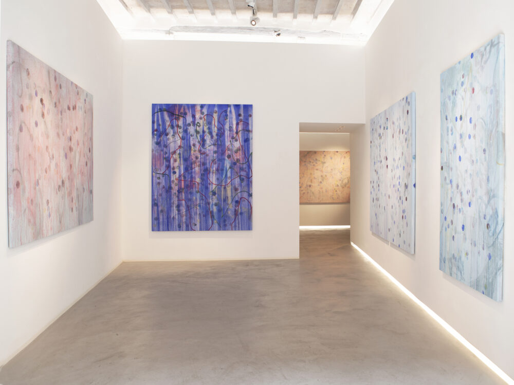 Luca Grechi, Open, installation view