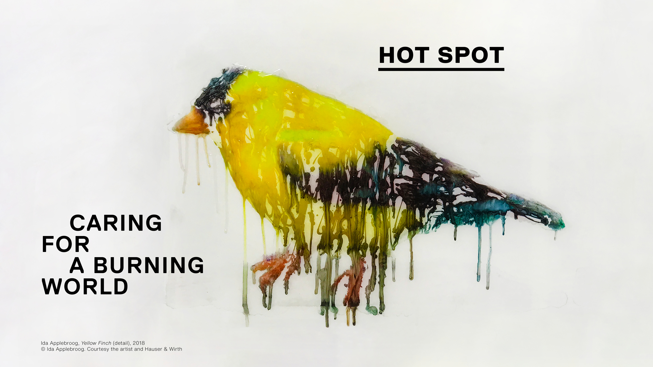 Hot Spot, il mondo in fiamme verso la catastrofe ambientale nella visione degli artisti