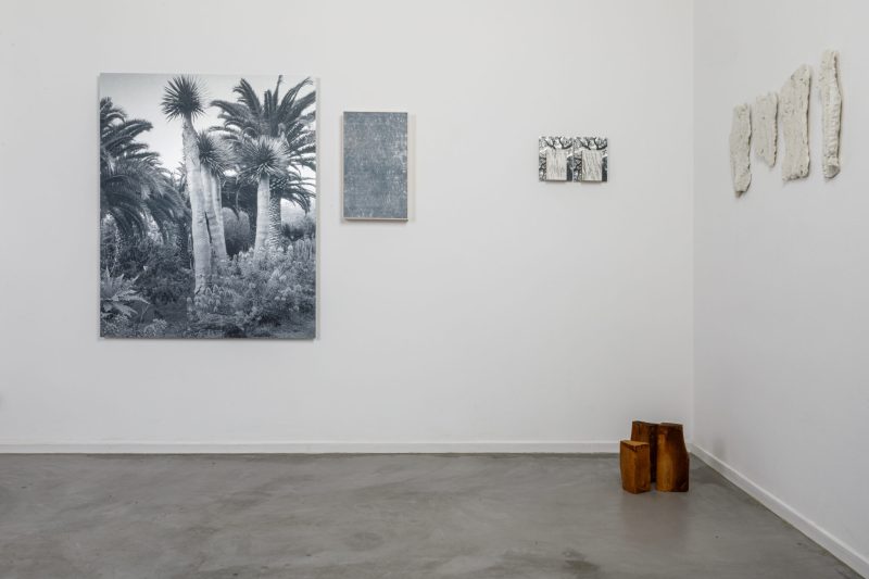 Giorgia Severi, Another Ghost Landscape, 2022, installation view, courtesy monoGAO21 Gallery