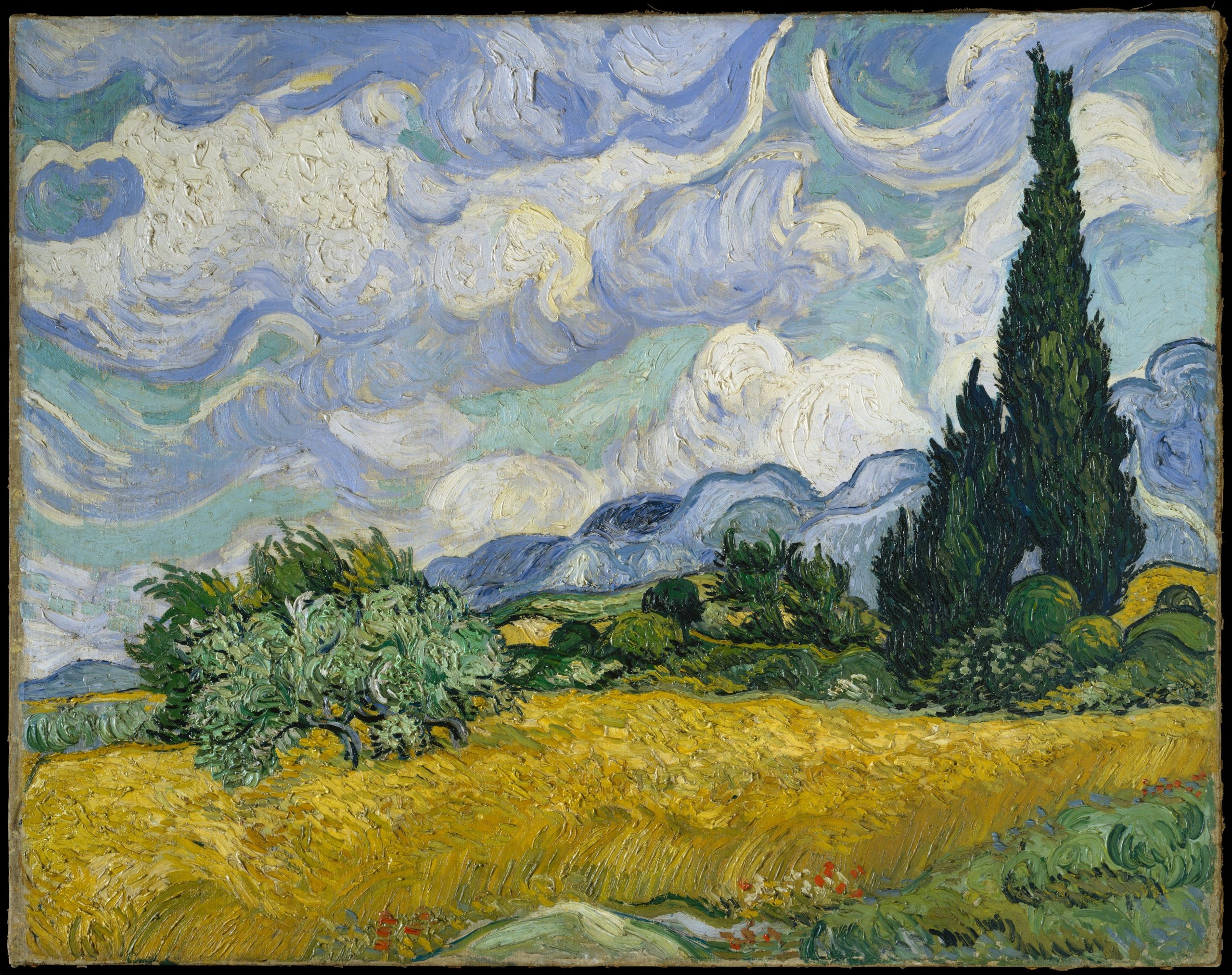 Focus. Al Met per la prima volta una mostra sui cipressi di Vincent van Gogh