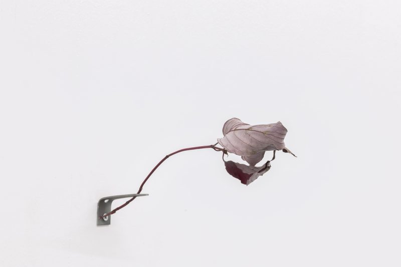 Daniele Di Girolamo - Installation view, Quotidiana / Portfolio, Museo di Roma - Palazzo Braschi, Roma, 2022 - Courtesy l’artista e Fondazione La Quadriennale di Roma, ph Carlo Romano
