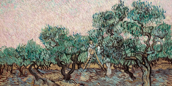Vincent van Gogh, La cueillette des olives, 1889