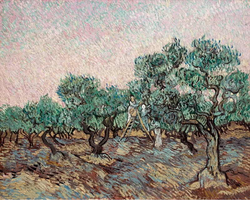 Vincent van Gogh, La cueillette des olives, 1889
