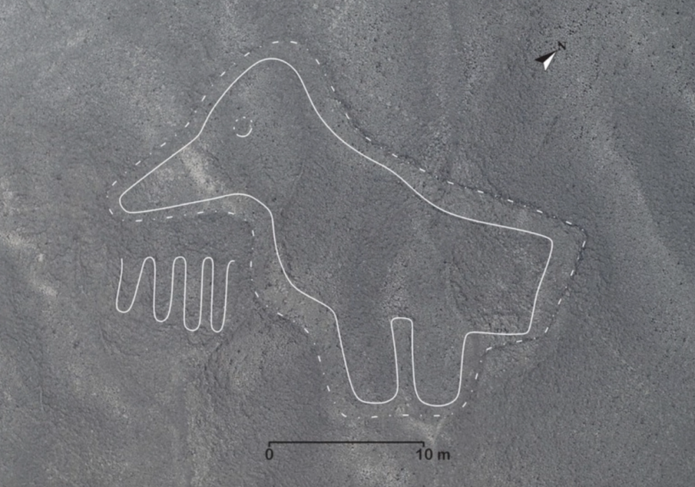 Una delle linee di Nazca appena individuate (foto Yamagata University)