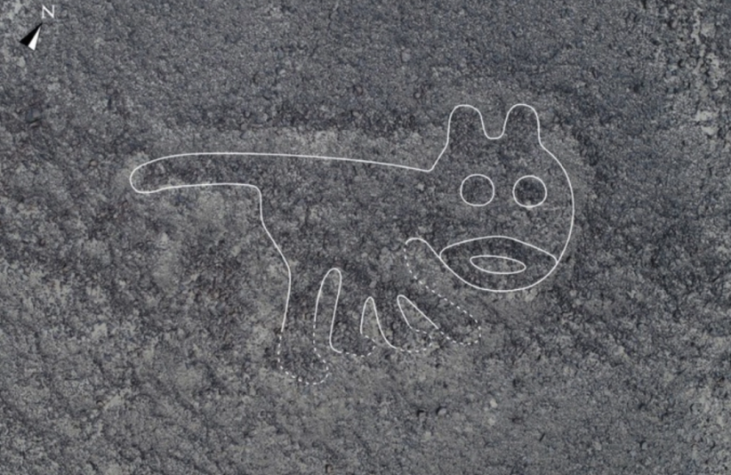 Una delle linee di Nazca appena individuate (foto Yamagata University)