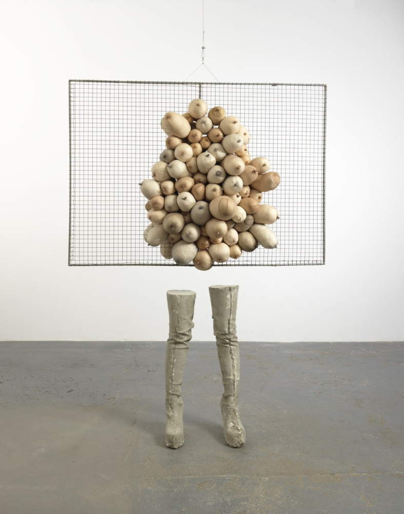 Sarah Lucas, Nice Tits, 2011