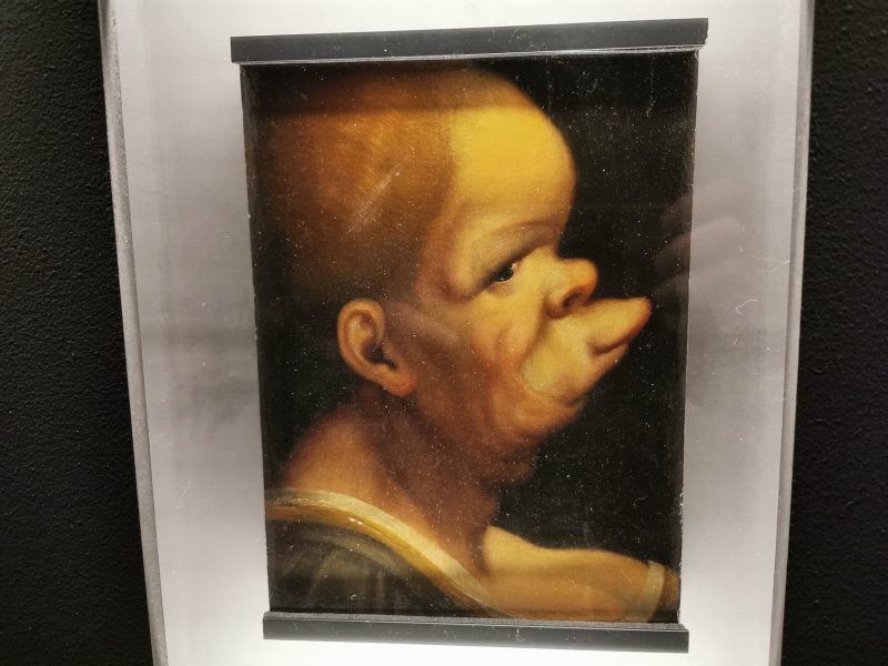 De Visi Mostruosi e Caricature. Da Leonardo da Vinci a Bacon, Venezia, Palazzo Loredan