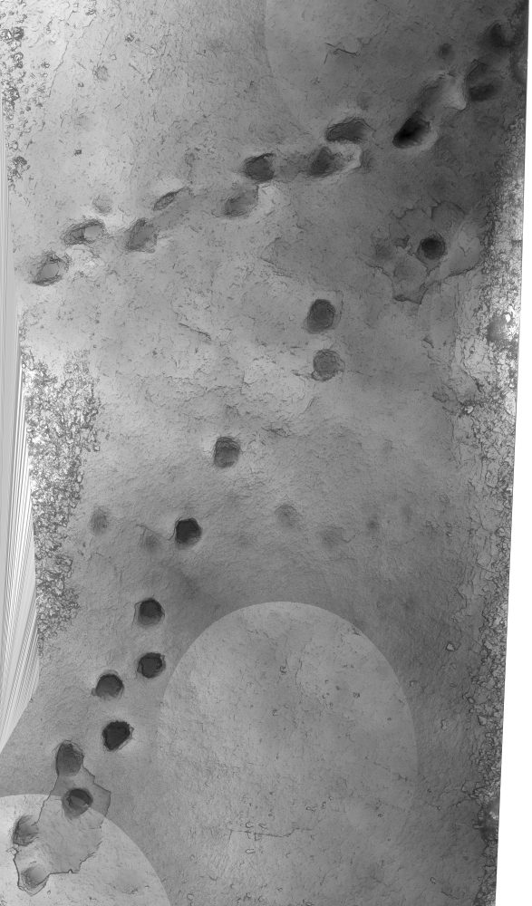 Sito paleontologico dei Lavini di Marco. 3d scan. Courtesy Archivio MUSE - Museo delle Scienze, Trento