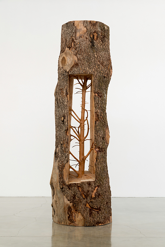 Giuseppe Penone, Albero porta-cedro / Door Tree-Cedar, 2012