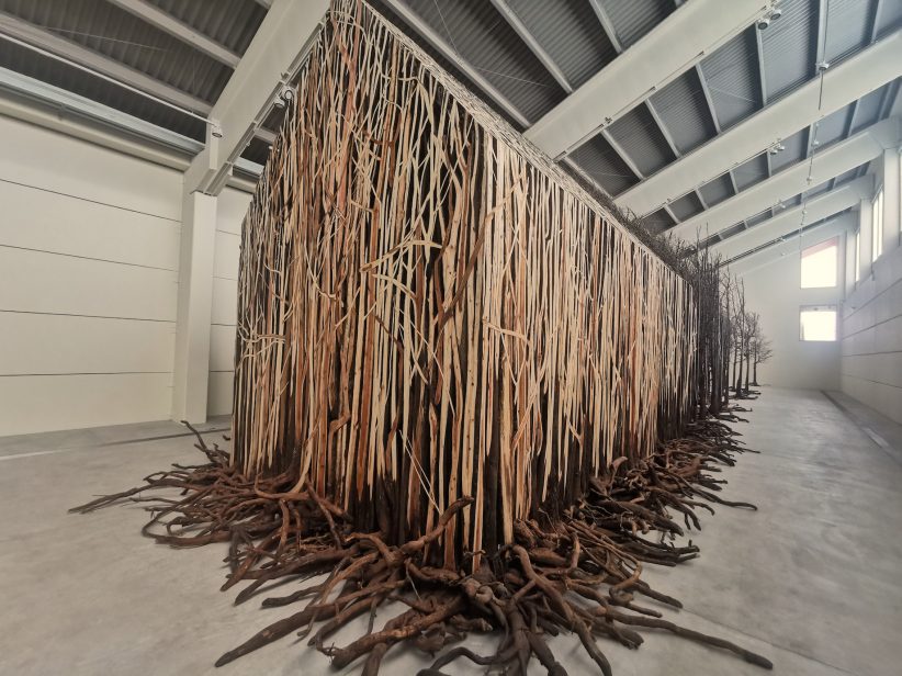 Doris Salcedo, Uprooted, Biennale di Sharjah 2023
