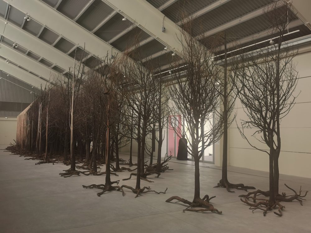 Doris Salcedo, Uprooted, Biennale di Sharjah 2023