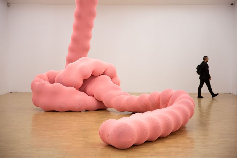 Eva Fàbregas: Tangles, 2019 Photo by Roberto Ruiz