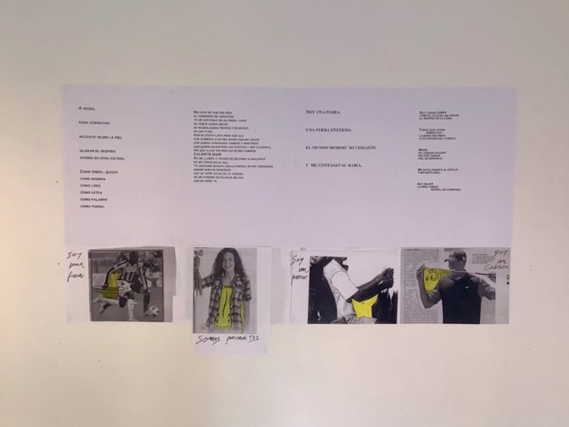 Debacle, Regina José Galindo e Massimo Mazzone, FourteenArTellaro