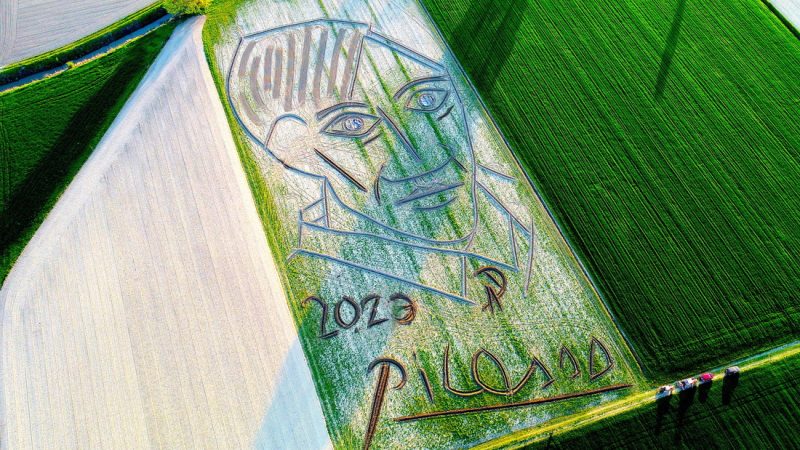 Il ritratto di Picasso realizzato con un aratro (copyright Dario Gambarin)