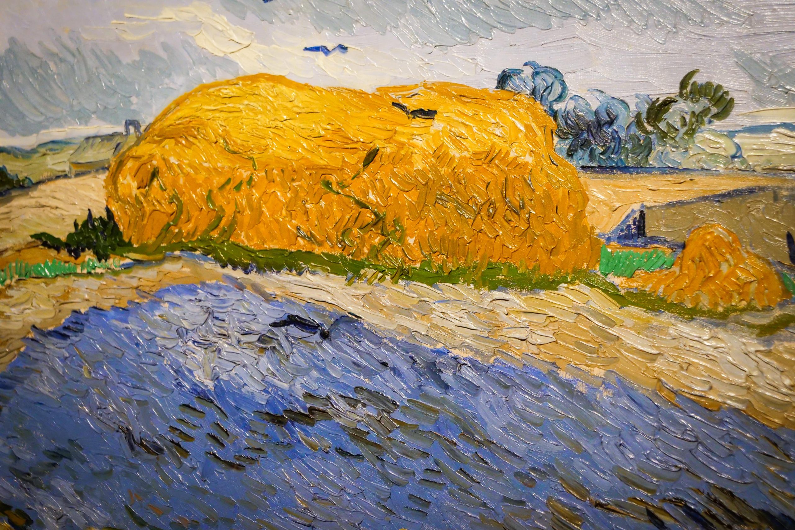 Roma. La mostra di Van Gogh a Palazzo Bonaparte è la più visitata di sempre in Italia