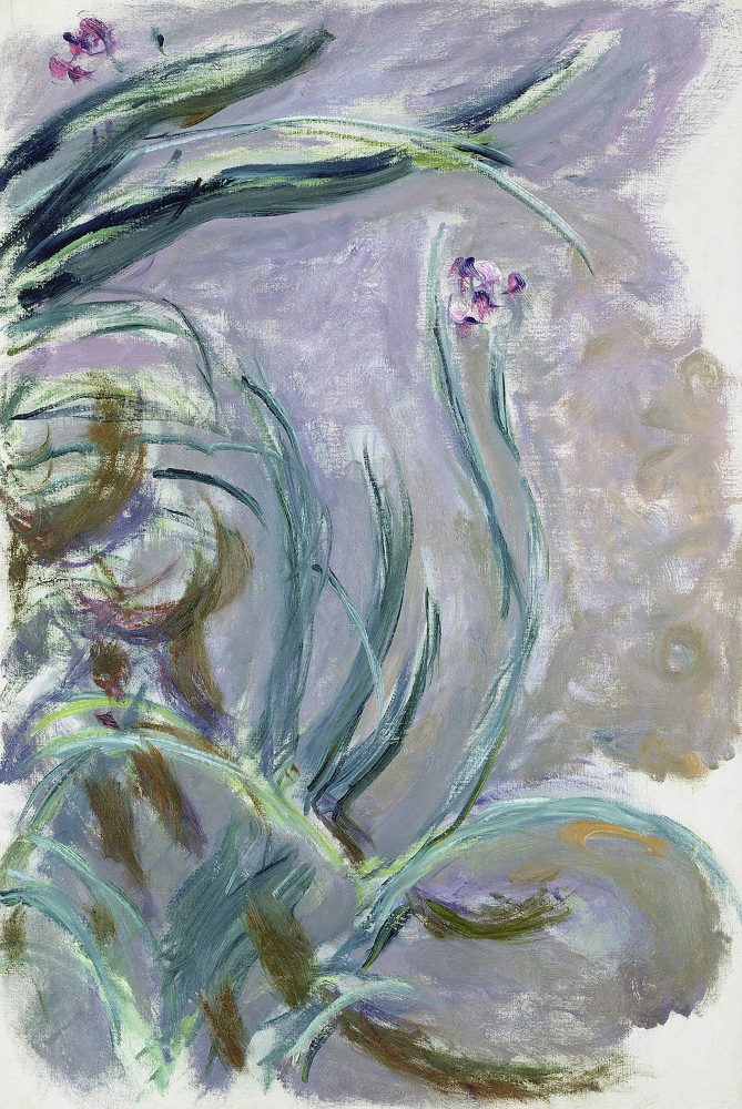 Claude Monet (1840-1926) Iris , hacia 1924-1925 Óleo sobre lienzo, 105 × 73 cm París, Musée Marmottan Monet, legado Michel Monet, 1966 Inv. 5076 © Musée Marmottan Monet, Pari
