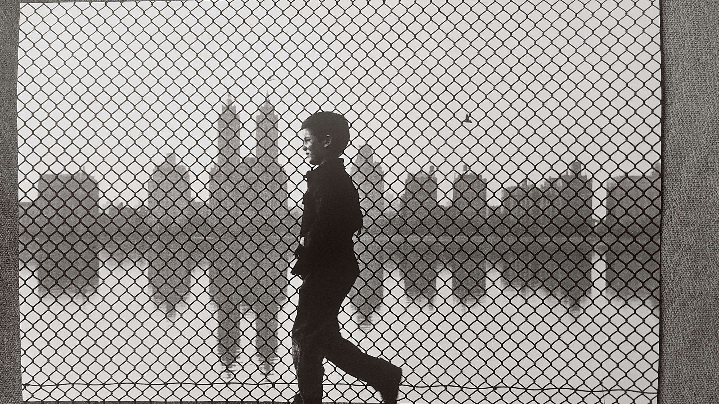 La fotografia che si fa cinema, e viceversa. Ruth Orkin, una gigante del secolo breve