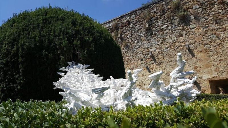 Silvia Scaringella, Swarming