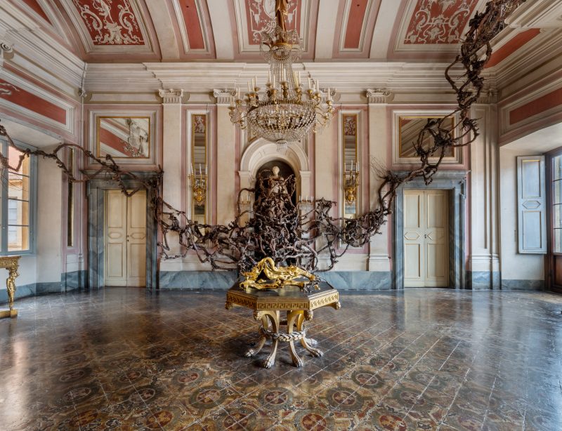 À itason Paolo William Tamburella dimensioni ambientali piante di vite 2023 Installation view Palazzo Chigi Zondadari, Siena Courtesy l’artista Foto @ElaBialkowska OKNOstudio