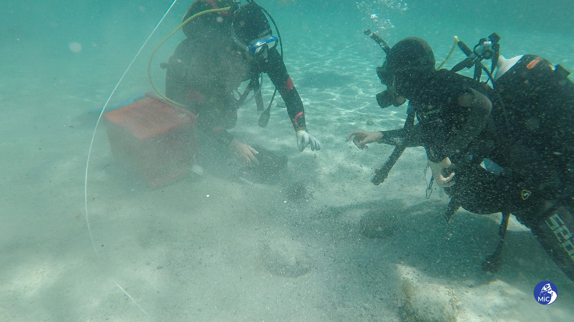 Archeologia: scoperto in fondo al mare (in Sardegna) un deposito enorme di monete antiche