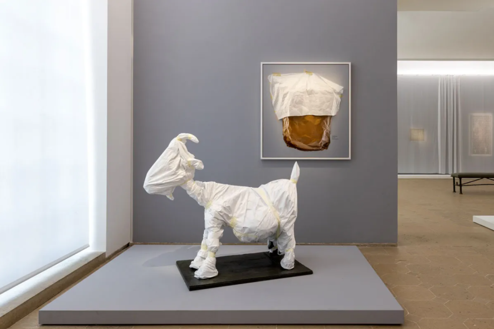 Installation view of “Sophie Calle: A toi de faire, ma mignonne,” 2023, at au Musée National Picasso Paris. PHOTO VINCIANE LEBRUN/VOYEZ-VOUS; ART: ©2023 SOPHIE CALLE/ADAGP, PARIS