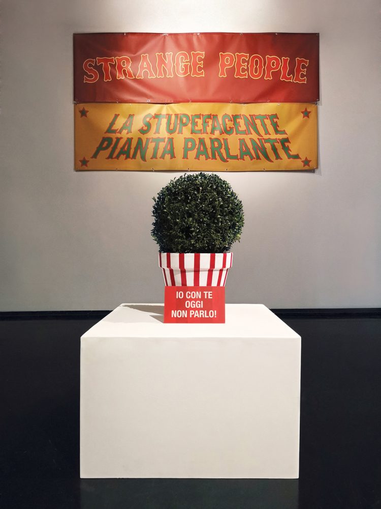 Mauro Cuppone, Strange People, La stupefacente pianta parlante, 2018, Macro Asilo, Roma, 110 x 38 x 38 cm