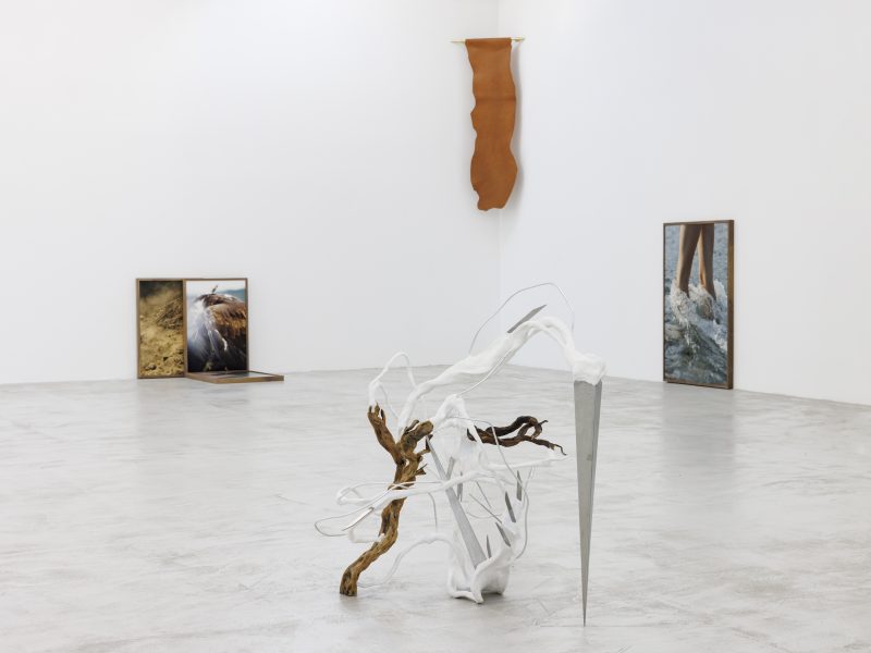 After Reminiscence, installation views at Cassina Projects, 2024 - Courtesy Cassina Projects, ph. Roberto Marossi