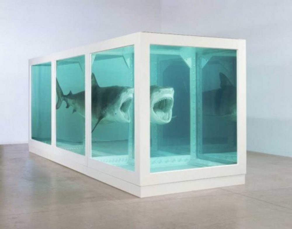 Damien Hirst's The Physical Impossibility of Death in the Mind of Someone Living