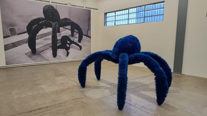 Pino Pascali, Fondazione Prada, Milano