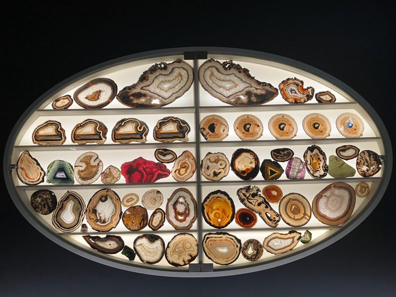 Il Museo della Specola, a Firenze