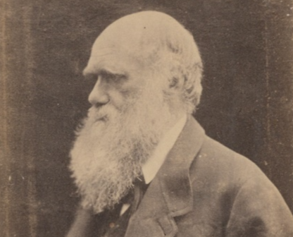 Una rarissima prima edizione de “L’origine della specie” di Darwin in asta a Londra