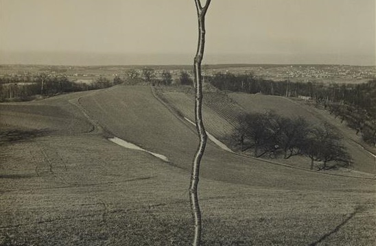 Neuhauss, Renger-Patzsch, Penn: Lempertz porta in asta la storia della fotografia vintage