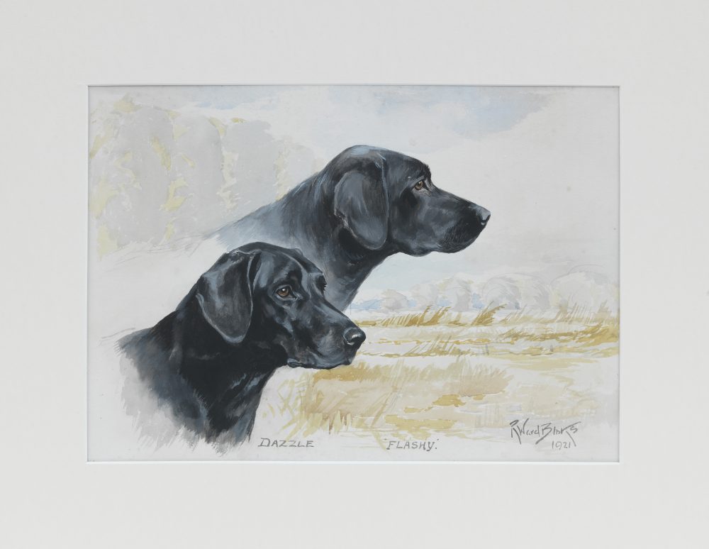 Charles Alington’s F.T Champion Labrador Retrievers & Champion Stake winners ‘Dazzle’ and ‘Flashy’ Estimate_ £2,500-3,500.