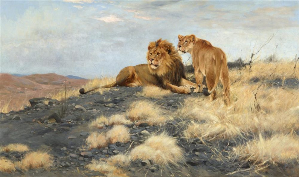 Wilhelm Kuhnert, Lion and Liones