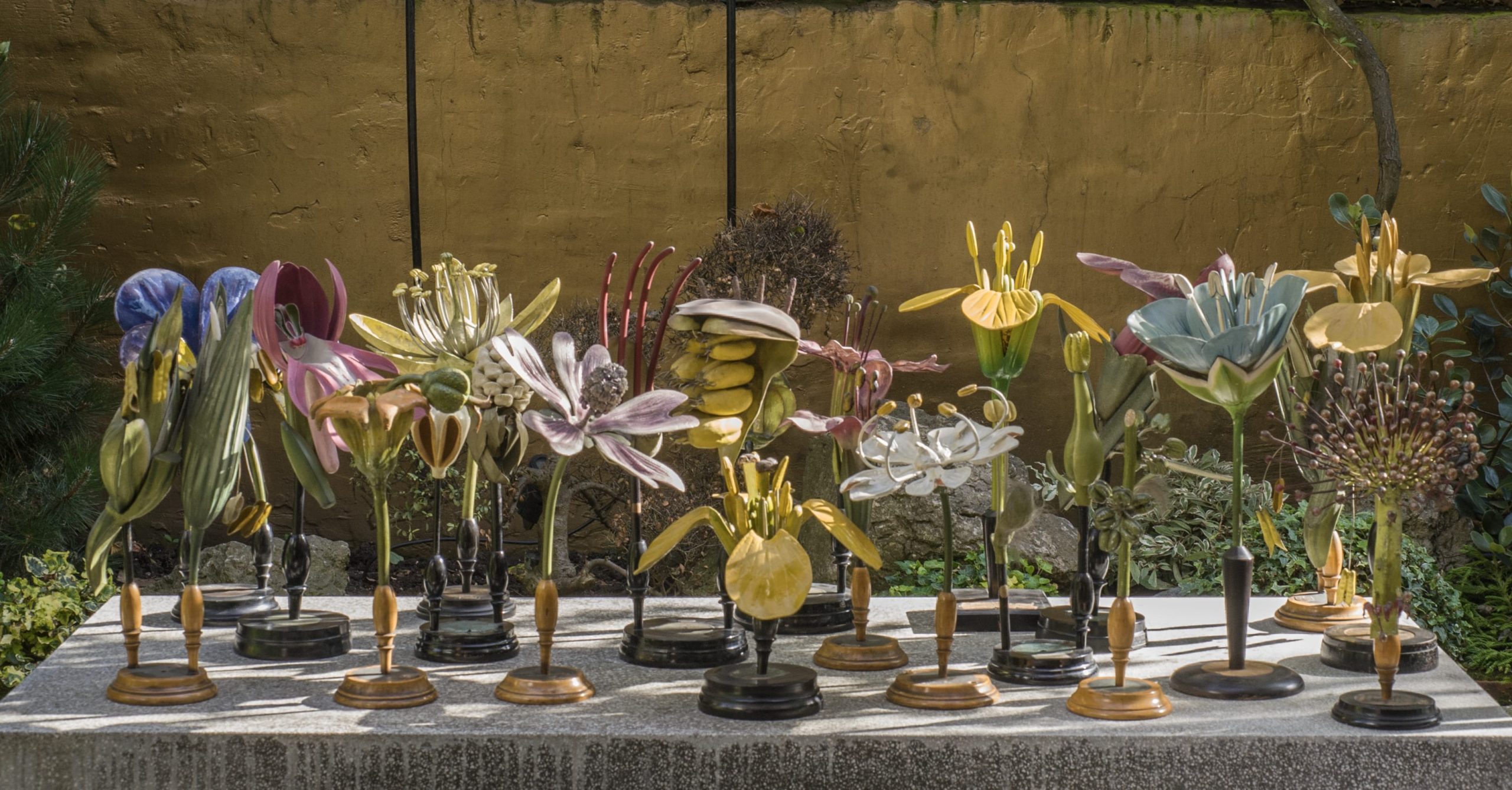 A Cabinet of Wonders. La meravigliosa George Loudon Collection a Palazzo Grimani