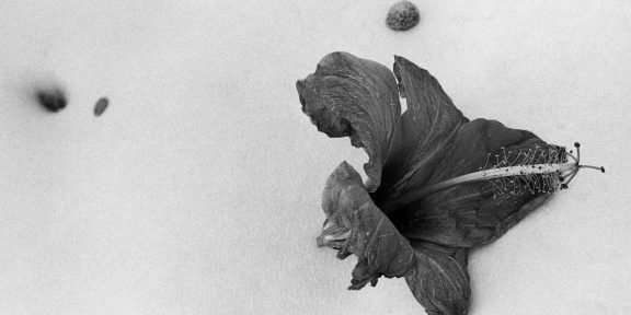 Tirana Art Weekend, Genc Kadriu, The Sea from the Lady, 2024, Analogue Photography, Courtesy of Pararoja